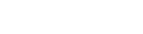 Nesva Medikal logosu (örnek)